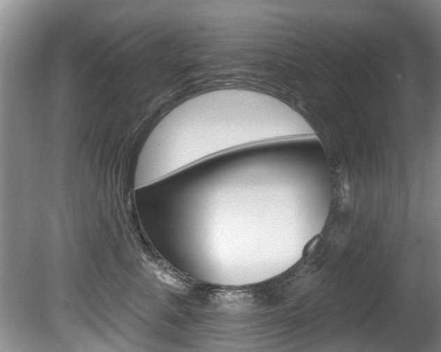 X0000080670619200612150803