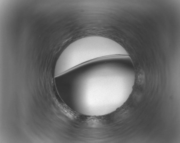 X0000080670620200612150803