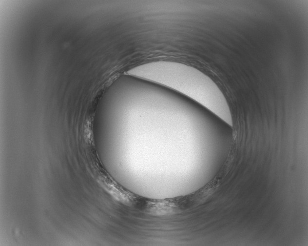 X0000080670621200612150803