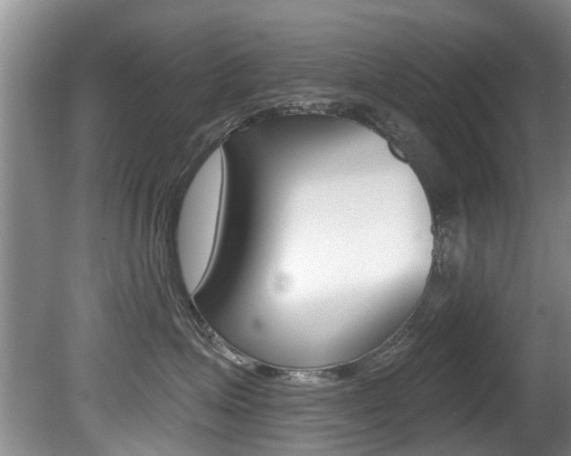 X0000080670623200612150803