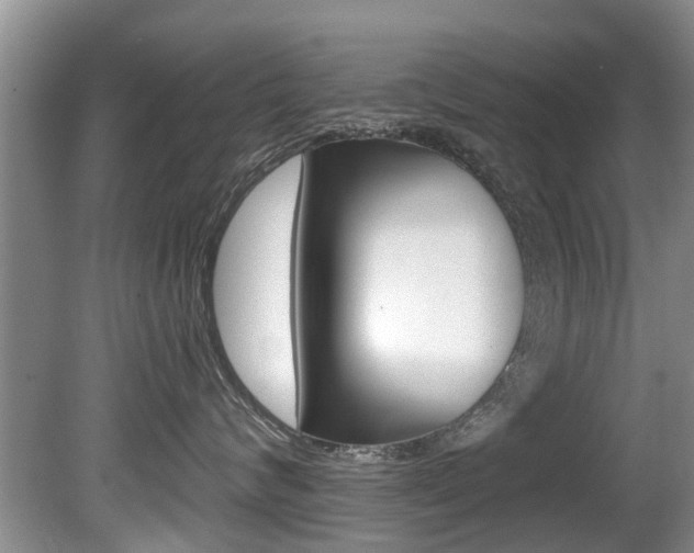 X0000080670624200612150803