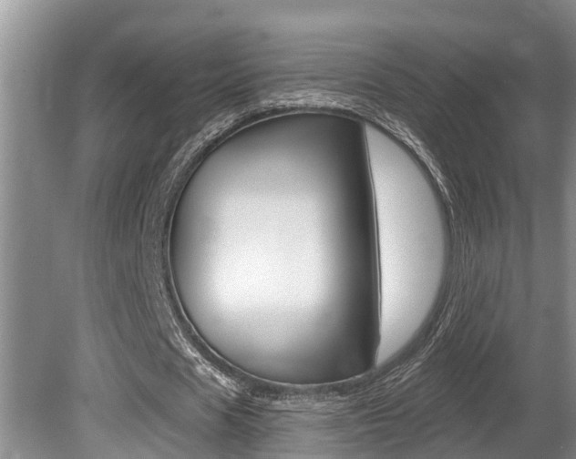 X0000080670625200612150802