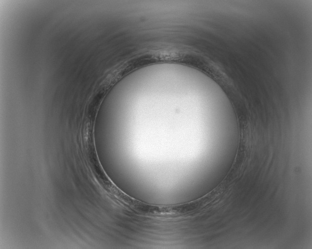 X0000080670645200612150802