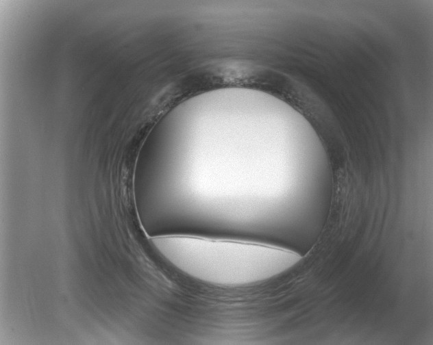 X0000080670650200612150802