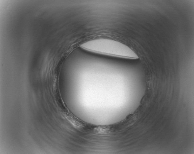 X0000080670660200612150802