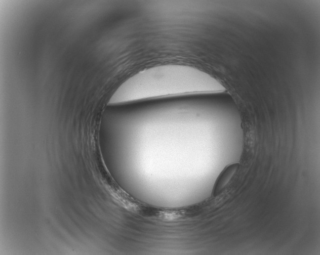 X0000080670662200612150803