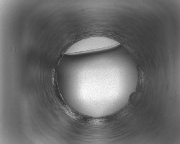 X0000080670664200612150803