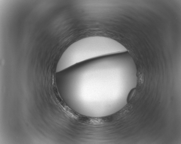 X0000080670666200612150803