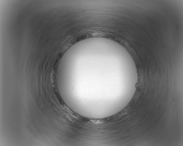 X0000080670667200612150803