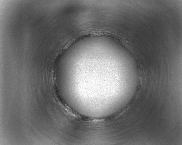 X0000080670670200612150803