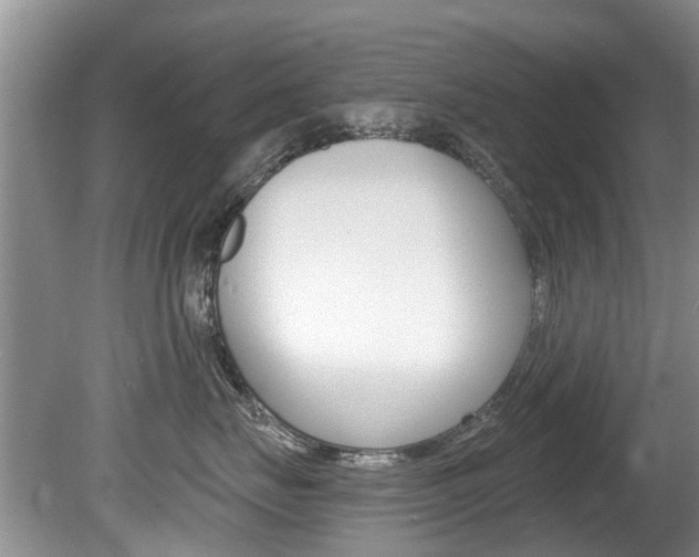 X0000080670671200612150803
