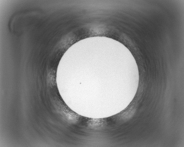 X0000080670672200612150803