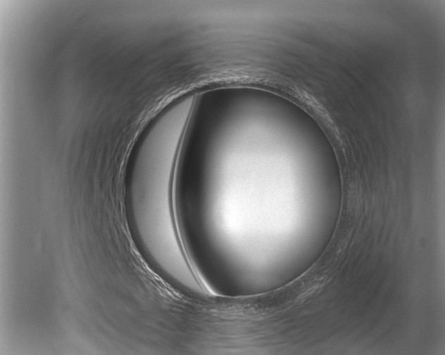 X0000080670673200612150802