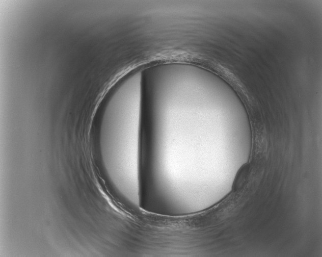 X0000080670674200612150802