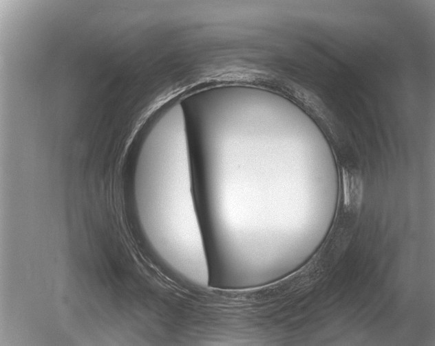 X0000080670675200612150802