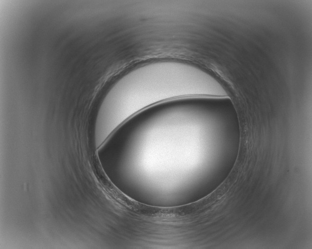 X0000080670685200612150802