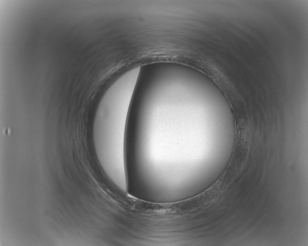 X0000080670692200612150802
