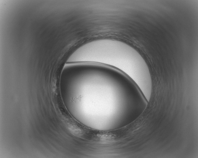 X0000080670693200612150802