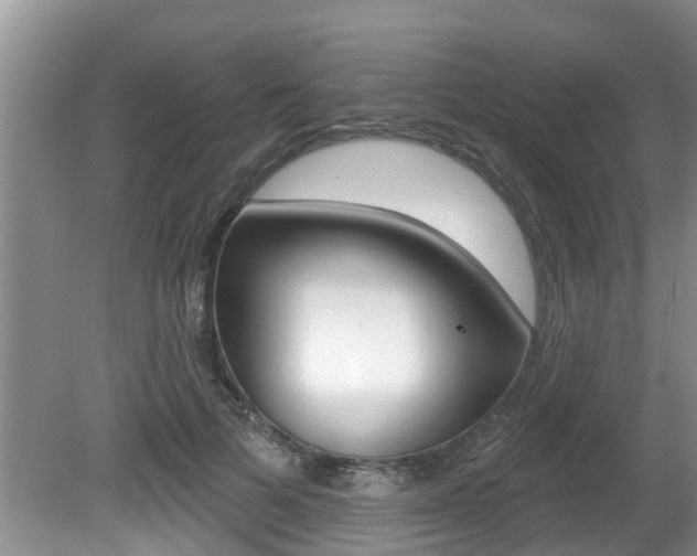 X0000080670697200612150801