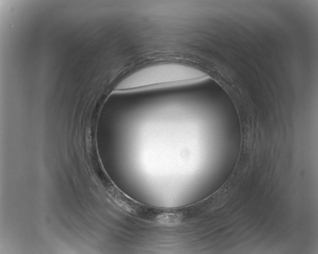 X0000080670700200612150801