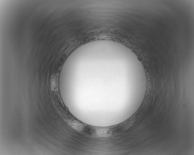 X0000080670709200612150801
