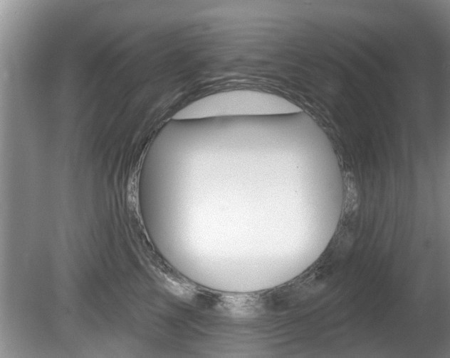 X0000080670713200612150801
