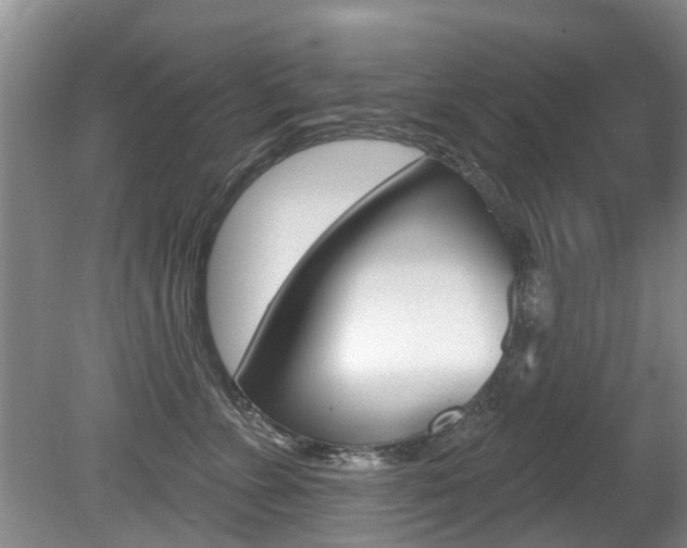 X0000080670715200612150801