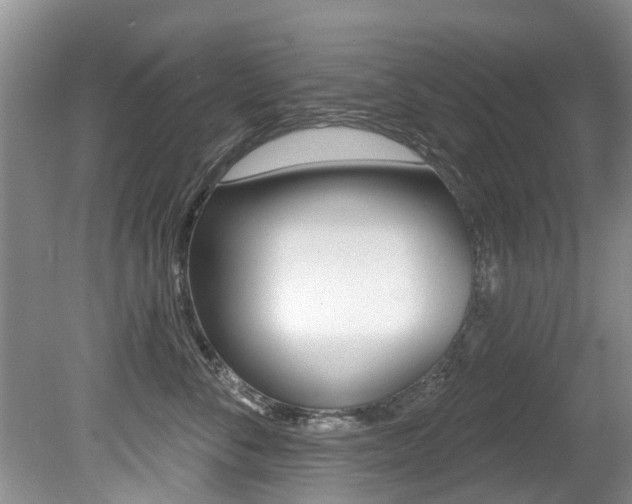 X0000080670716200612150801