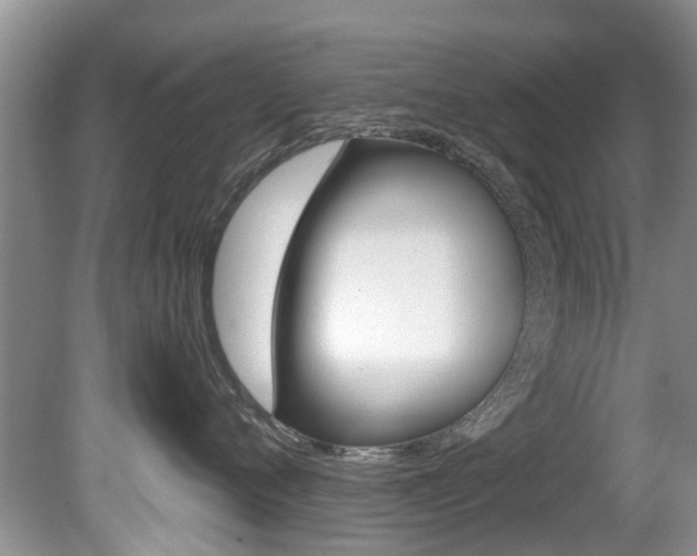 X0000080670720200612150801