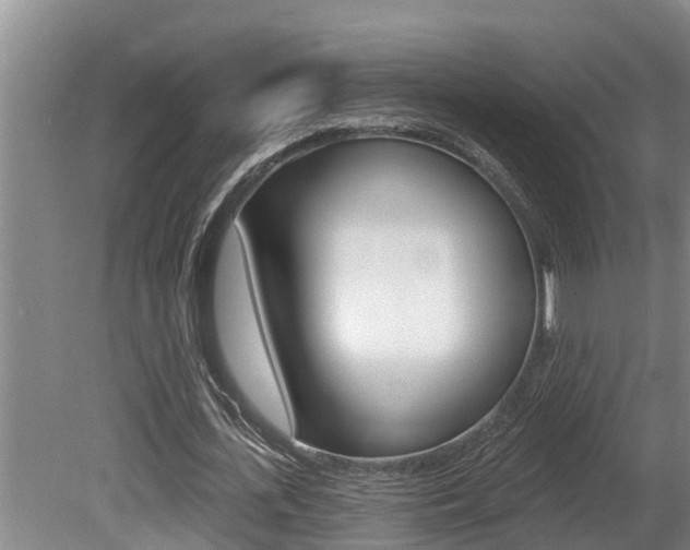 X0000080670723200612150800