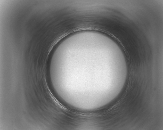 X0000080670725200612150800