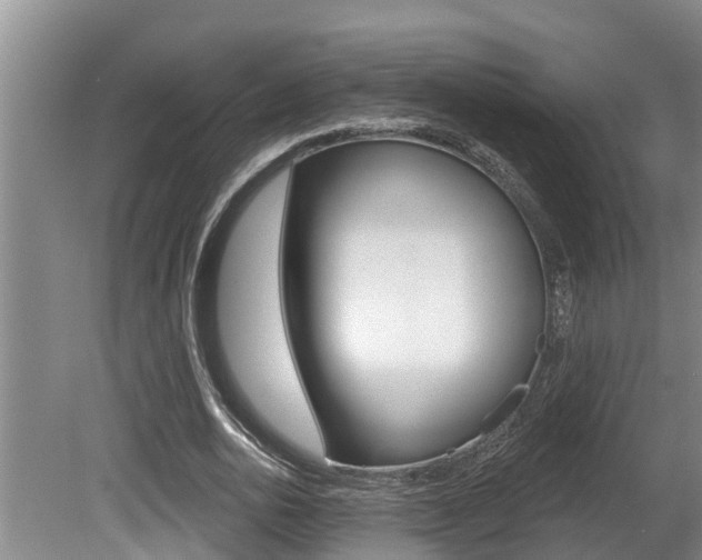 X0000080670726200612150800