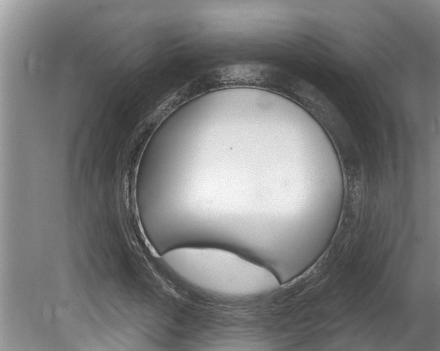 X0000080670729200612150800