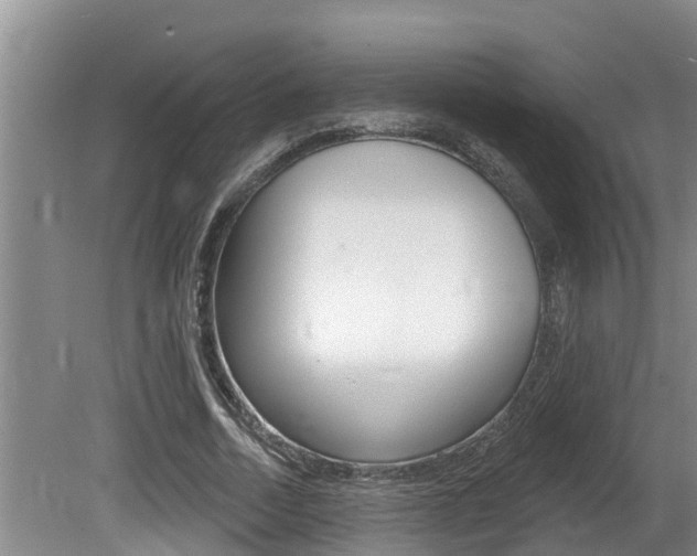 X0000080670730200612150800