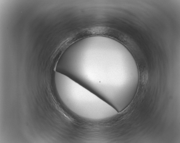 X0000080670733200612150800