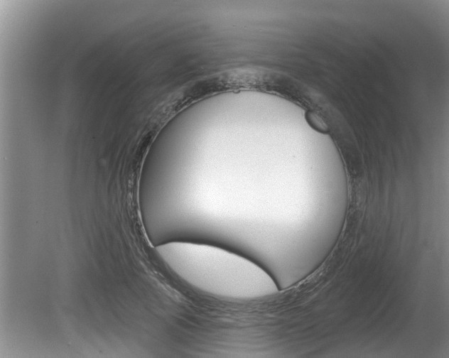X0000080670737200612150801
