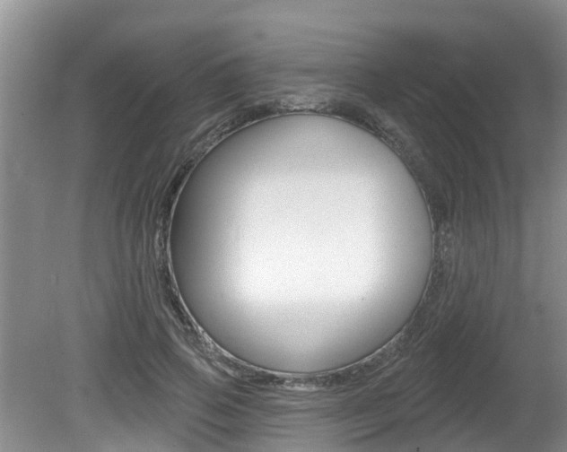 X0000080670741200612150801
