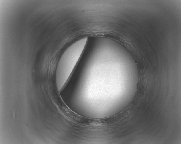 X0000080670742200612150801