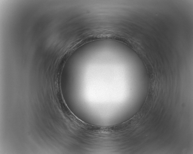 X0000080670743200612150801