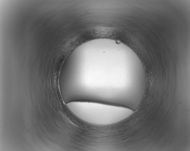 X0000080670745200612150801