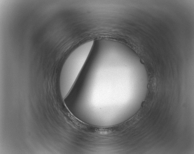 X0000080670746200612150801