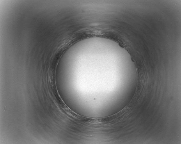X0000080670747200612150801
