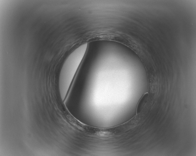 X0000080670748200612150801
