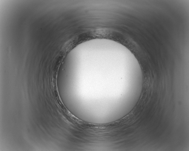 X0000080670749200612150801