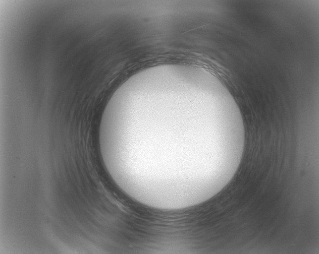 X0000080670750200612150801