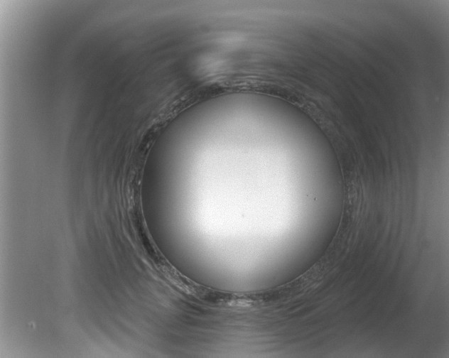 X0000080670751200612150801