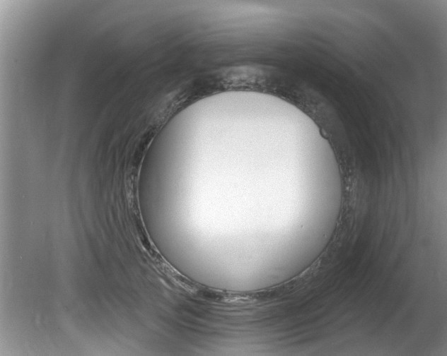X0000080670753200612150801