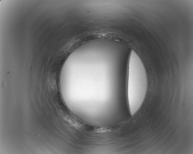 X0000080670754200612150801