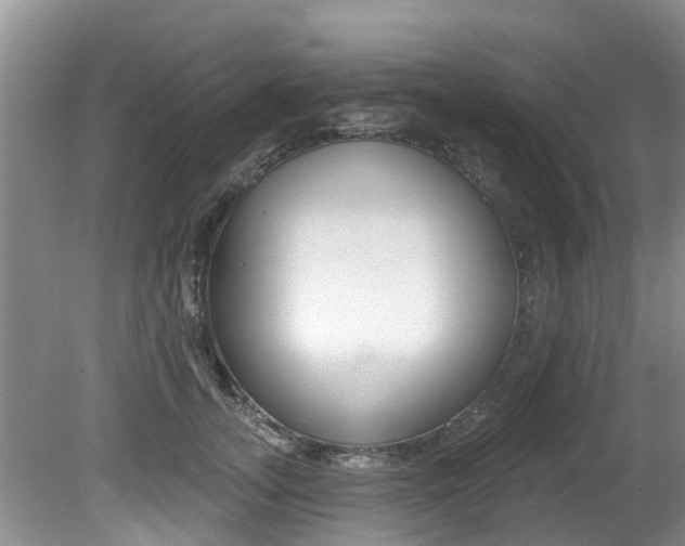 X0000080670755200612150801