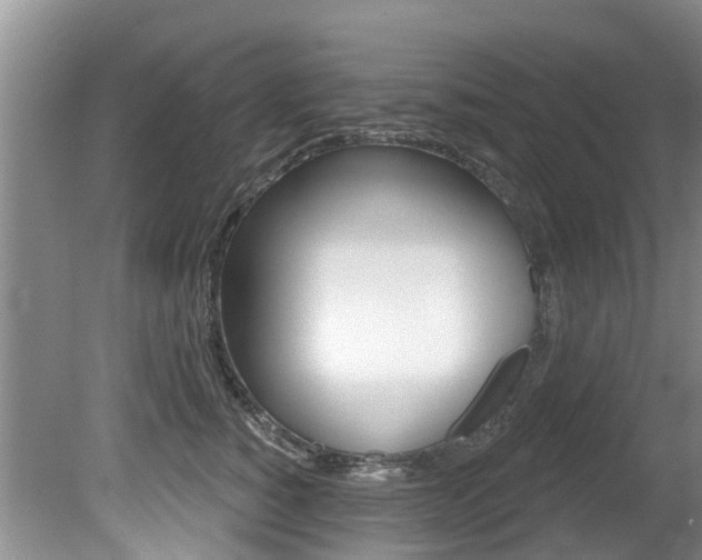 X0000080670760200612150801